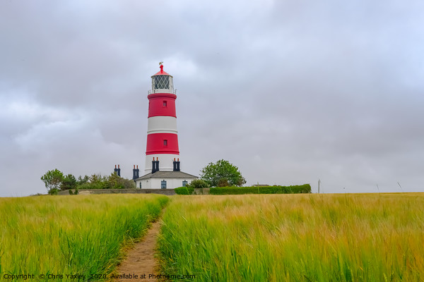 Happisburgh lighthouse, Norfolk Picture Board by Chris Yaxley