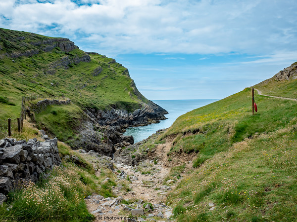 The path to Mewslade Bay in the Gower Peninsula Picture Board by Chris Yaxley