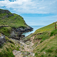 Buy canvas prints of The path to Mewslade Bay in the Gower Peninsula by Chris Yaxley
