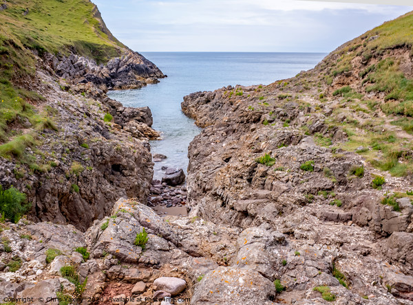A view over Mewslade Bay at high water Picture Board by Chris Yaxley