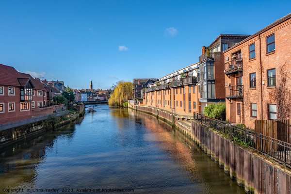 Waterside apartments  along the River Wensum Picture Board by Chris Yaxley