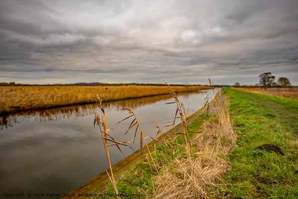 Norfolk waterway on a cloudy day Picture Board by Chris Yaxley