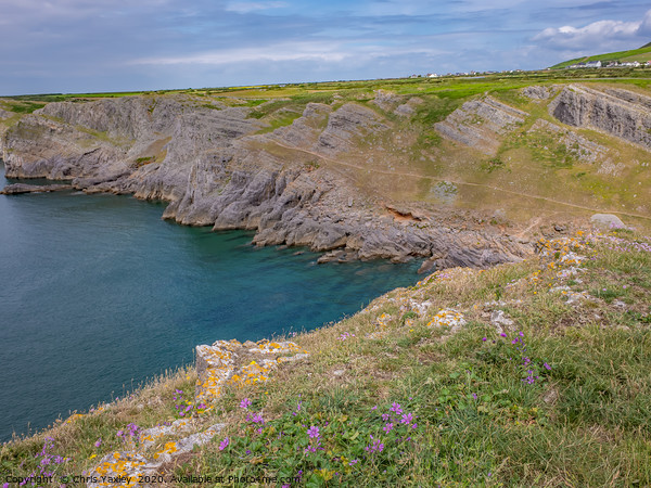 Mewslade Bay on the Gower Way, South Wales Picture Board by Chris Yaxley