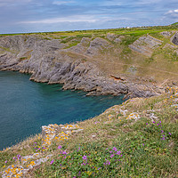 Buy canvas prints of Mewslade Bay on the Gower Way, South Wales by Chris Yaxley