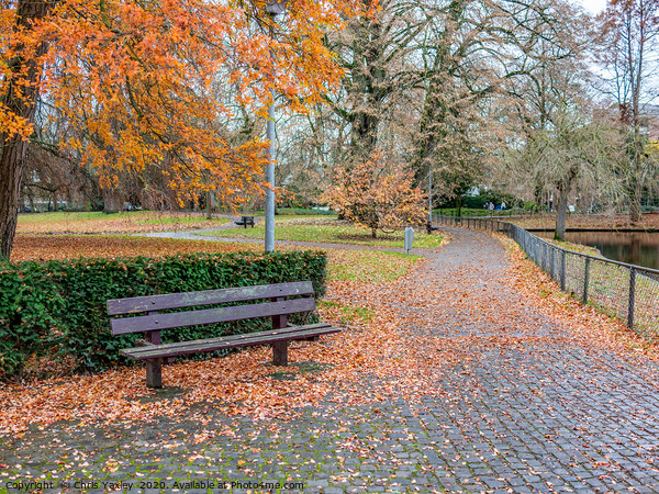 Wooden park bench in autumn in the Netherlands Picture Board by Chris Yaxley