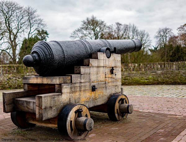 Canon on city wall Picture Board by Chris Yaxley