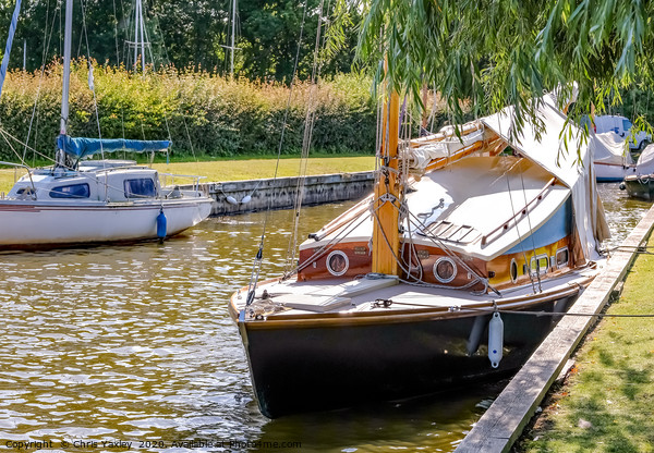 Traditional wooden sailing boat, Norfolk Broads Picture Board by Chris Yaxley
