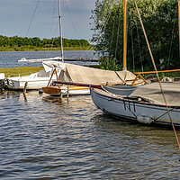 Buy canvas prints of Sailing boats on Hickling Broad, Norfolk by Chris Yaxley
