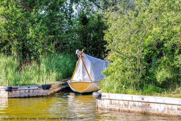 Wooden boat moored in the Norfolk Broads Picture Board by Chris Yaxley