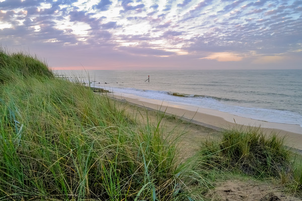 Cart Gap beach in Norfolk from the dunes Picture Board by Chris Yaxley