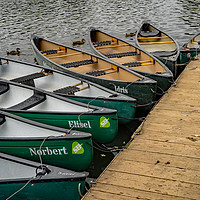 Buy canvas prints of Canoes and kayaks on Salhouse Broad, Norfolk by Chris Yaxley