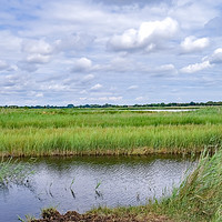 Buy canvas prints of A view across Hickling Nature Reserve by Chris Yaxley