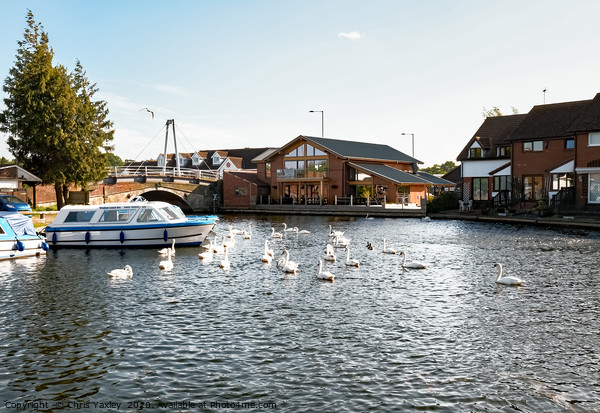 River Bure, Wroxham Picture Board by Chris Yaxley