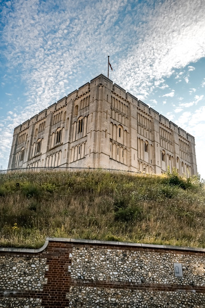 THe medieval castle museum high on the hill in Nor Picture Board by Chris Yaxley