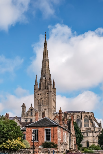 Norwich Cathedral captured from Cathedral Close Picture Board by Chris Yaxley