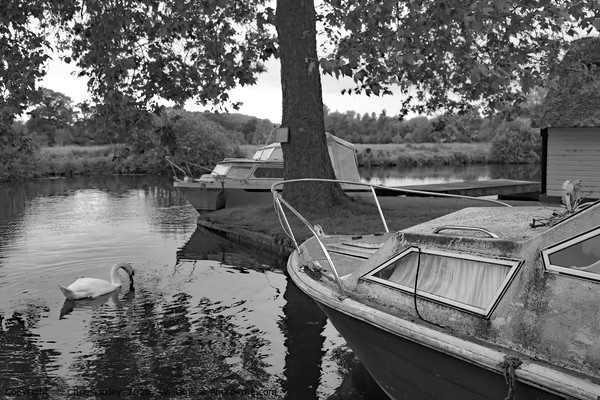 Boat on the Bure, Coltishall Picture Board by Chris Yaxley