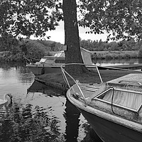 Buy canvas prints of Boat on the Bure, Coltishall by Chris Yaxley