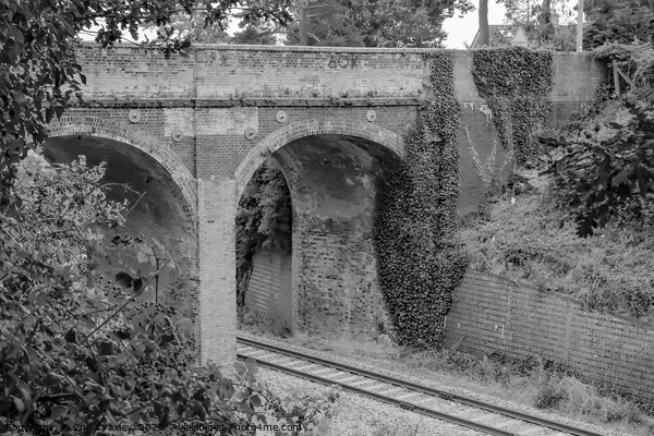 Brick built bridge over the railway line in Reedha Picture Board by Chris Yaxley