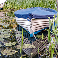 Buy canvas prints of Moored row boat on the Norfolk Broads by Chris Yaxley