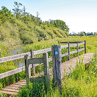 Buy canvas prints of Wooden bridge in the Norfolk countryside by Chris Yaxley