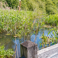 Buy canvas prints of Bridge over the River Ant in rural Norfolk by Chris Yaxley