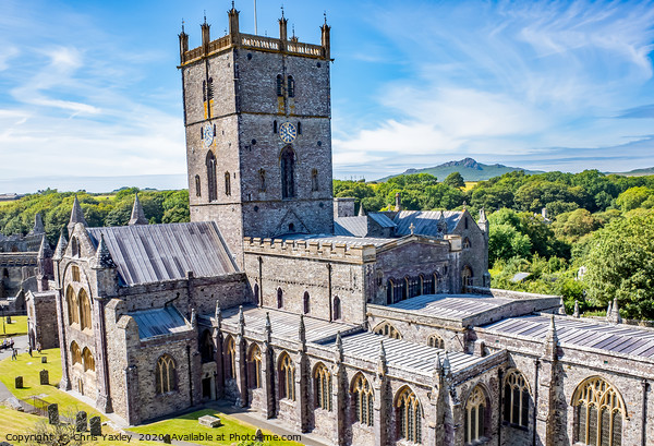 St Davids Cathedral, Wales Picture Board by Chris Yaxley