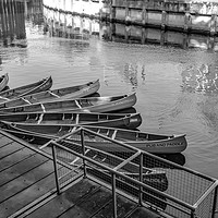 Buy canvas prints of Canoes for a pub crawl on the River Wensum in Norw by Chris Yaxley