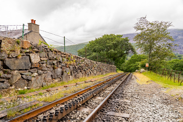 Mount Snowdon Railway, Llanberis, North Wales Picture Board by Chris Yaxley