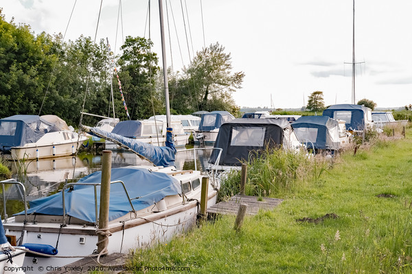 Moored boats, Norfolk Broads Picture Board by Chris Yaxley
