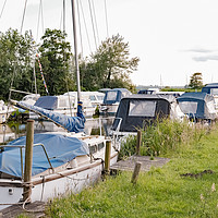Buy canvas prints of Moored boats, Norfolk Broads by Chris Yaxley