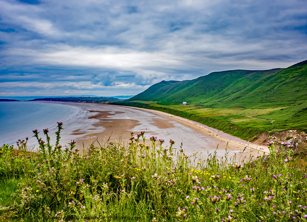 A view over Rhossili Bay from the cliff tops Picture Board by Chris Yaxley