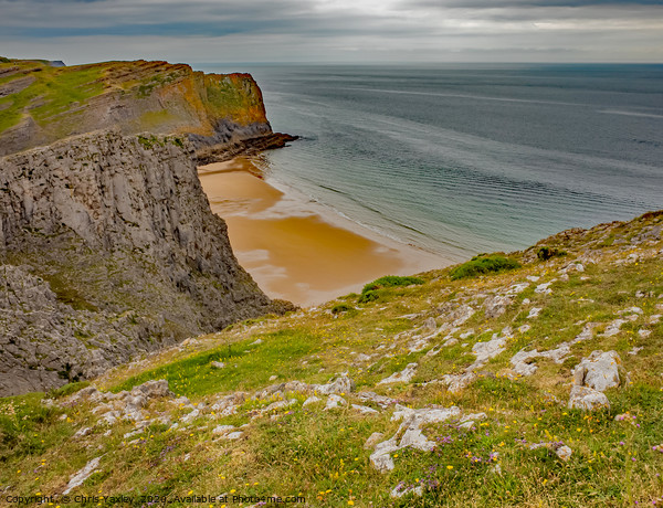 A view of Mewslade Bay on the South Welsh coast fr Picture Board by Chris Yaxley