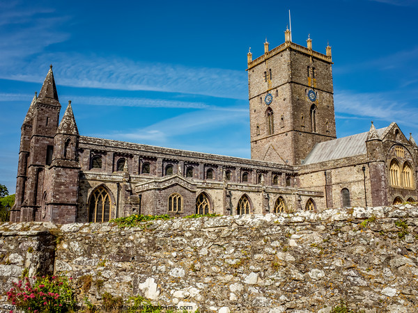 St Davids Cathedral, St Davids, South Wales Picture Board by Chris Yaxley