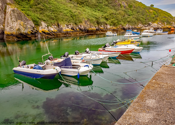 PorthClais Harbour, Pembrokeshire, South Wales Picture Board by Chris Yaxley