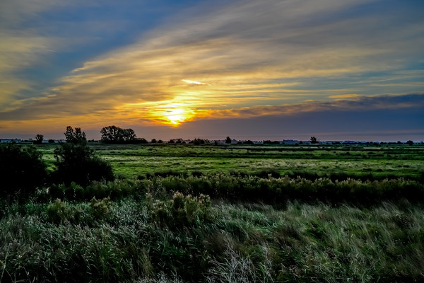 Sunrise over the grazing marshes in South Walsham, Picture Board by Chris Yaxley