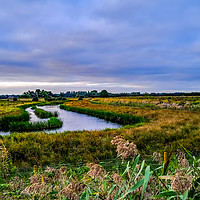 Buy canvas prints of Flat marshes and grazing land, Norfolk by Chris Yaxley