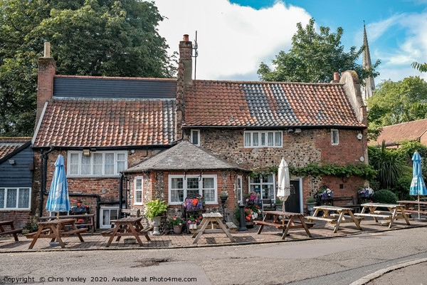The Adam & Eve pub, Bishopgate, Norwich Picture Board by Chris Yaxley
