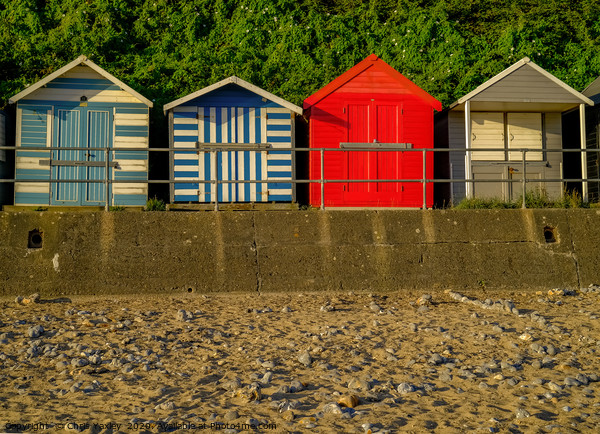 Cromer Beach Huts Picture Board by Chris Yaxley