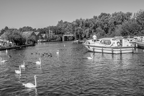 Boating on the Norfolk Broads bw Picture Board by Chris Yaxley