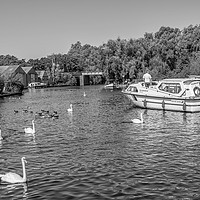 Buy canvas prints of Boating on the Norfolk Broads bw by Chris Yaxley