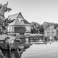 Buy canvas prints of The beauty of Ranworth Broad by Chris Yaxley