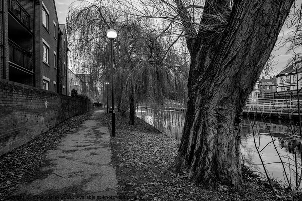 Riverside Walk, Norwich bw Picture Board by Chris Yaxley