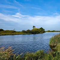 Buy canvas prints of Windy day on the River Yare by Chris Yaxley