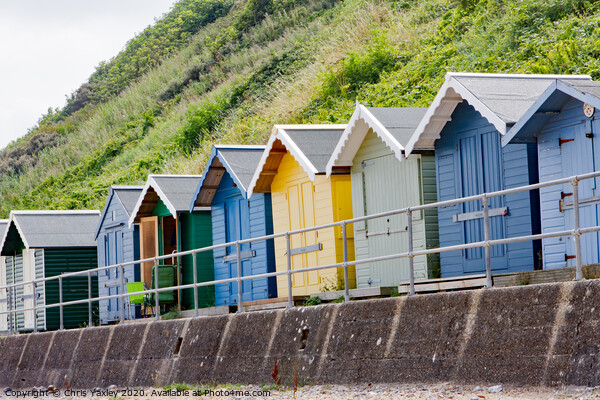 North Norfolk Beach huts in the seaside town of Cr Picture Board by Chris Yaxley