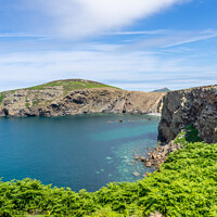 Buy canvas prints of Ramsey Island Walkabout by Chris Yaxley