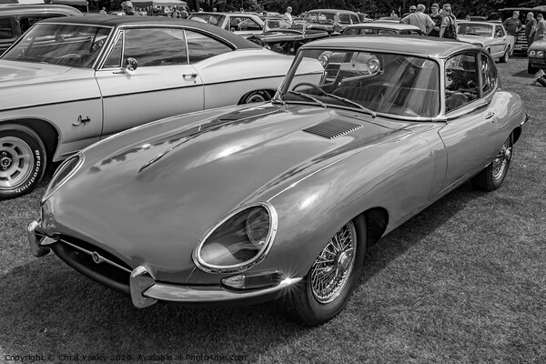 Jaguar E-Type bw Picture Board by Chris Yaxley