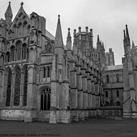 Buy canvas prints of Ely Cathedral bw by Chris Yaxley