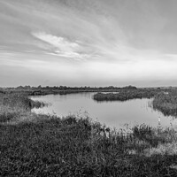 Buy canvas prints of RSPB Strumpshaw Nature Reserve bw by Chris Yaxley