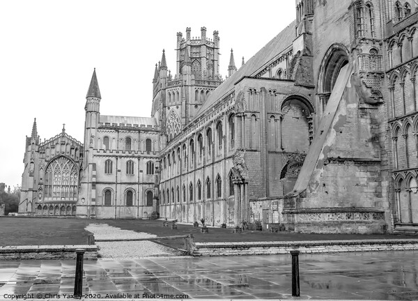 Ely Cathedral, Cambridgeshire bw Picture Board by Chris Yaxley