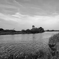 Buy canvas prints of A windy and sunny day on the River Yare in RSPB St by Chris Yaxley